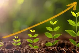 An image showing the stages of plant growth, starting from a small sprout on the left and gradually progressing to a taller, more developed plant on the right.