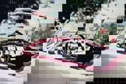 A vintage MG convertible with highlighting its aged condition, set against vineyards and rolling hills.