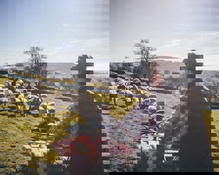 Agricultural supply.jpg