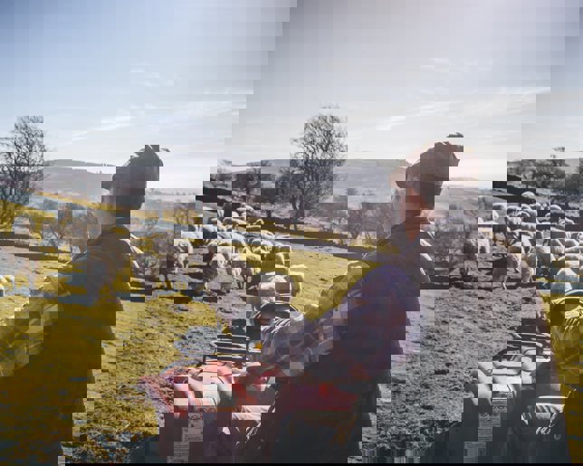 Agricultural supply.jpg